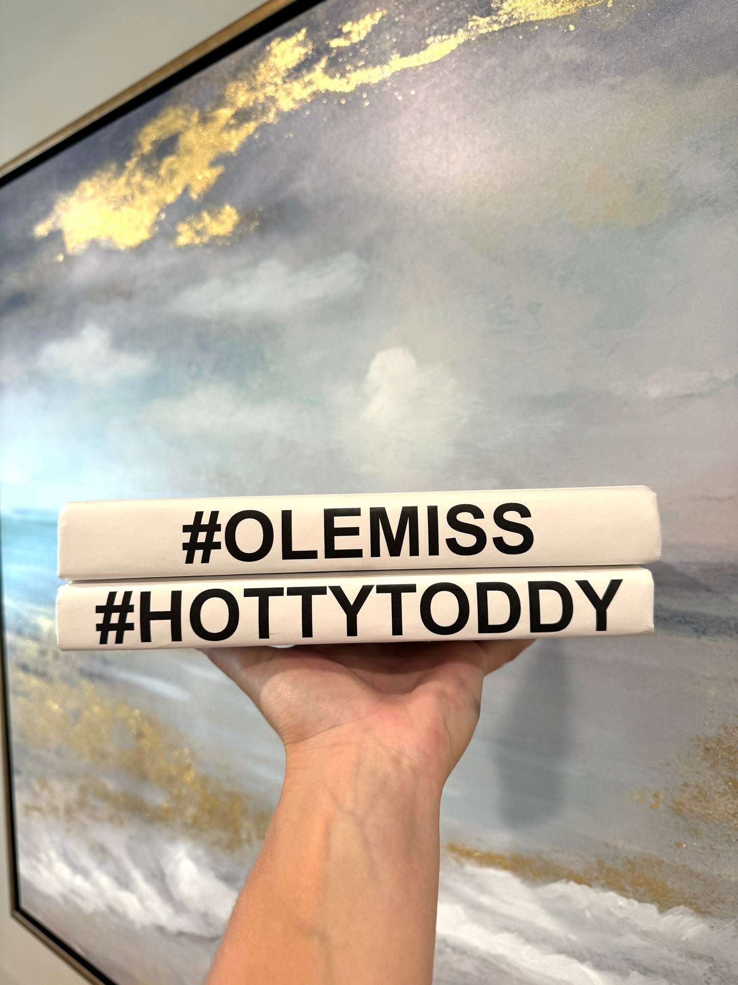 #olemiss #hottytoddy